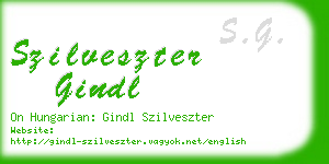 szilveszter gindl business card